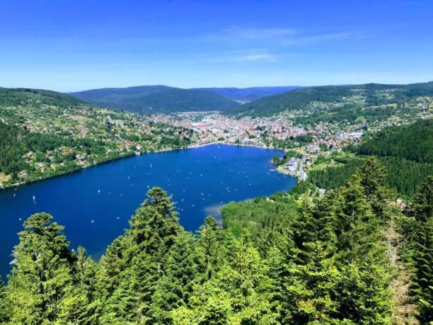 Appartement Les Balcons De La Chalande Le Tholy Gerardmer, Jardin,Balcon, Terrasse, 外观 照片