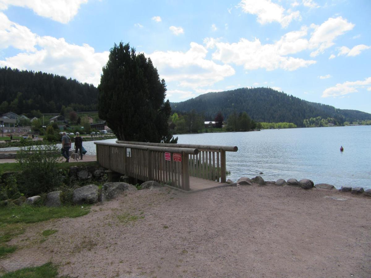 Appartement Les Balcons De La Chalande Le Tholy Gerardmer, Jardin,Balcon, Terrasse, 外观 照片