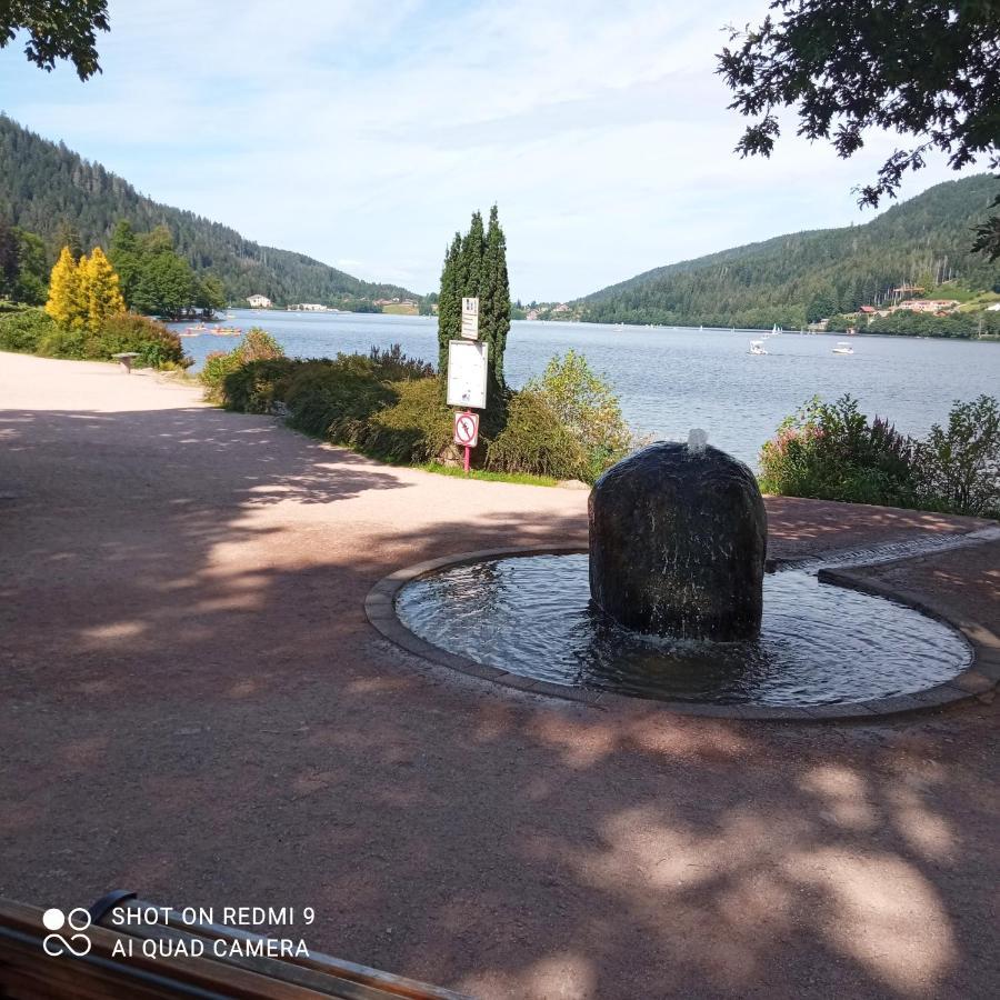Appartement Les Balcons De La Chalande Le Tholy Gerardmer, Jardin,Balcon, Terrasse, 外观 照片